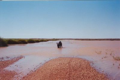 Click to Enlarge