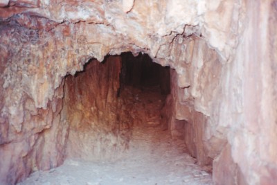 Click to Enlarge