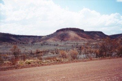 Click to Enlarge