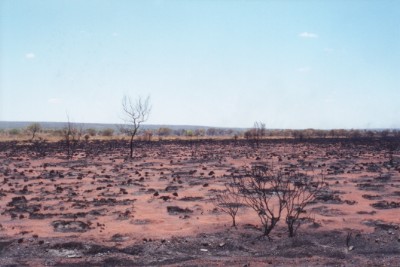 Click to Enlarge